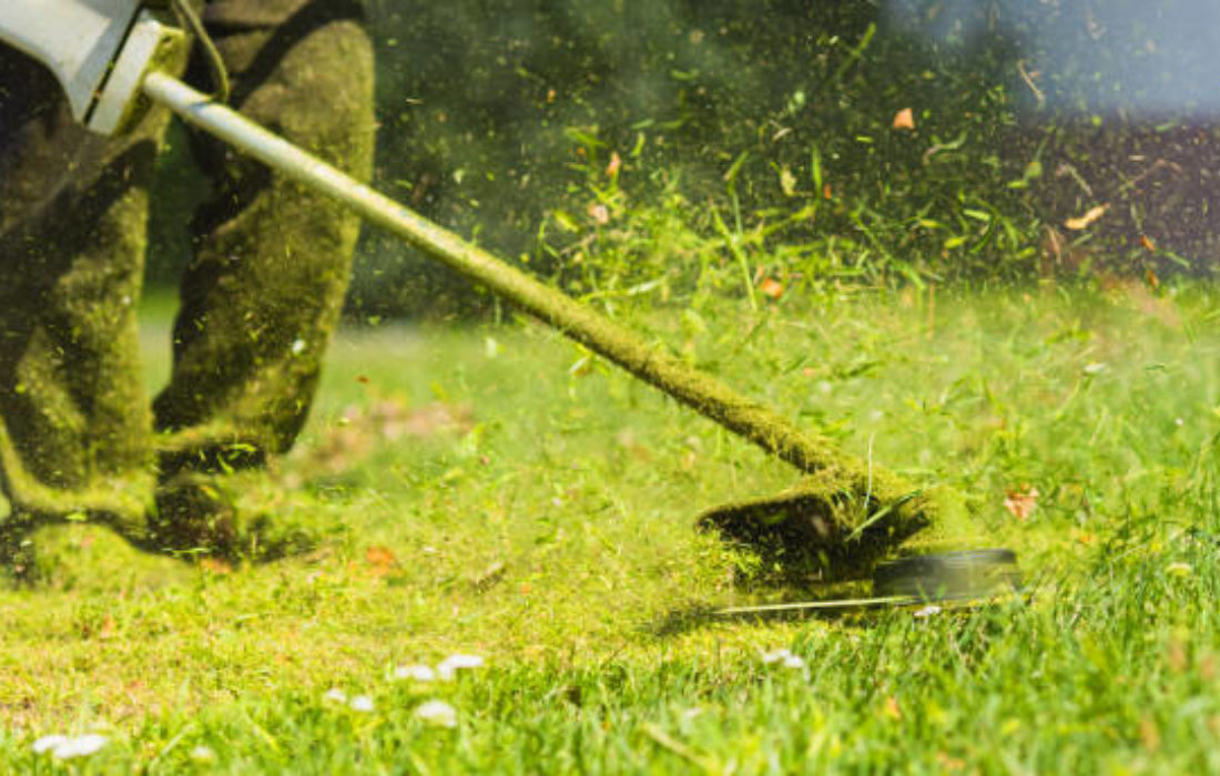 Brush Cutter
