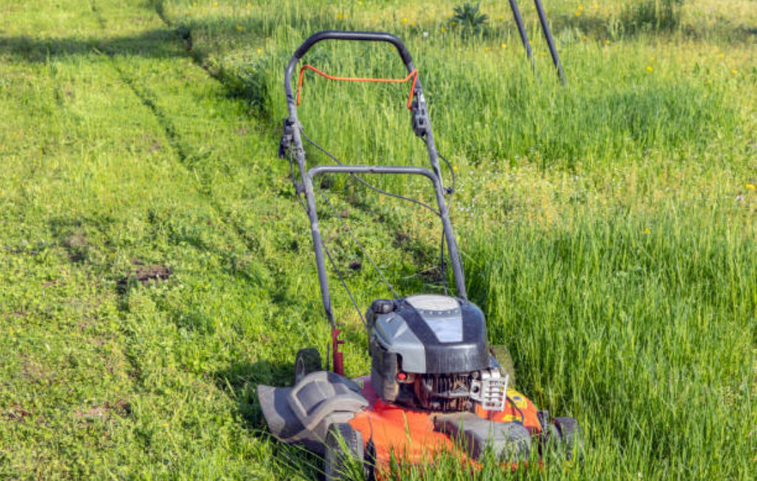 Pedestrian Mower