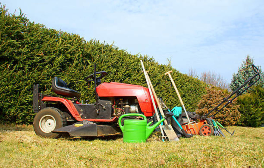 Ride On And Pedestrian Mower