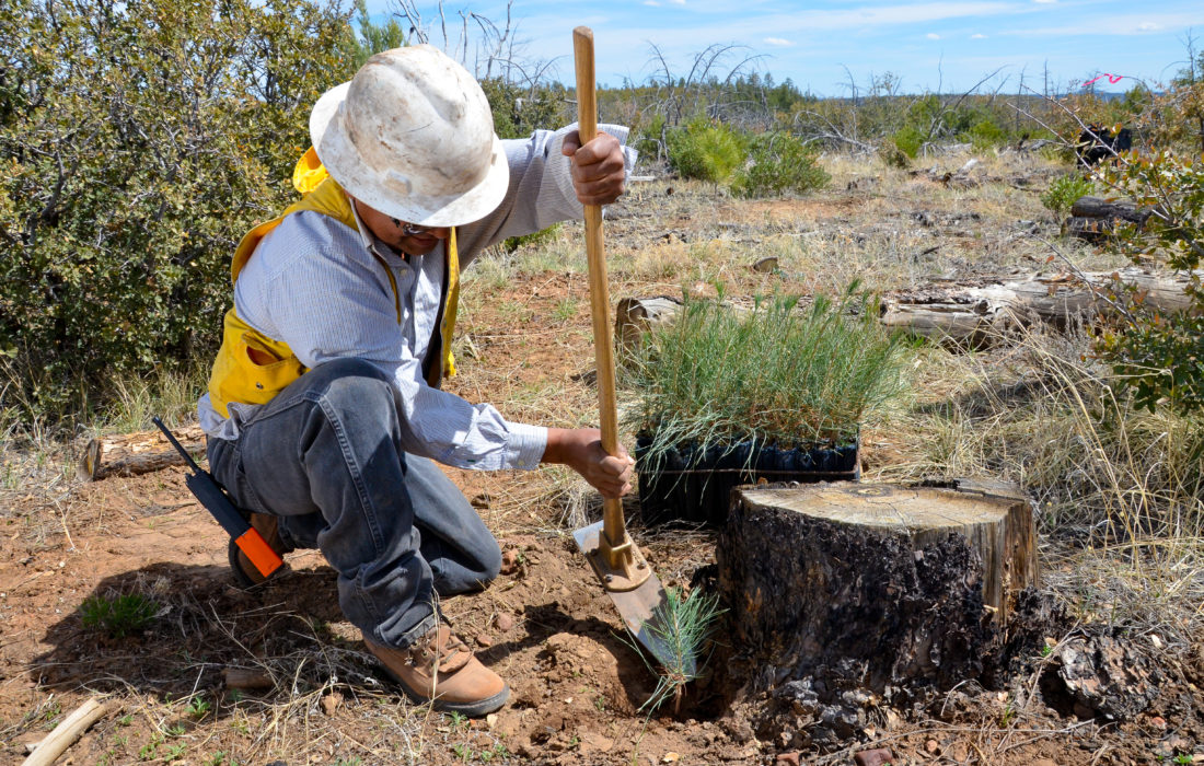 White Mountain Apache Arizona 105