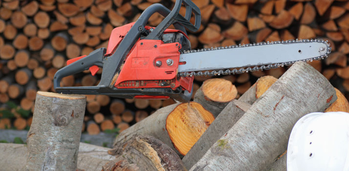 Chainsaws : Maintenance, Cross Cutting, Basic Felling & Processing up to 380mm