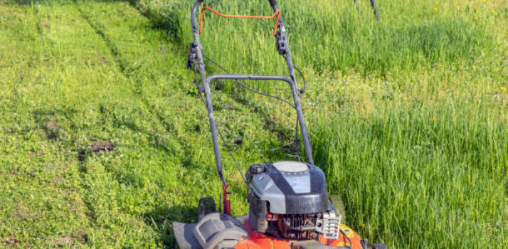 Pedestrian Mowers